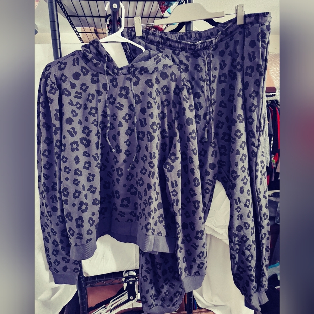 Walmart Sweatshirt set (hoodie and pants) NWT